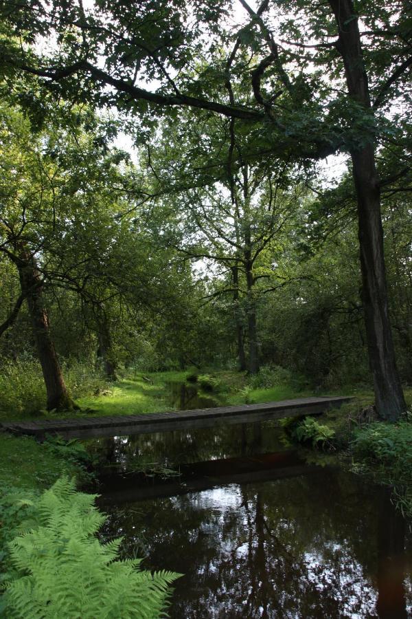 Vakantiehuis Appelvink, Toplocatie In Bosrijke Omgeving Oisterwijk Exterior foto